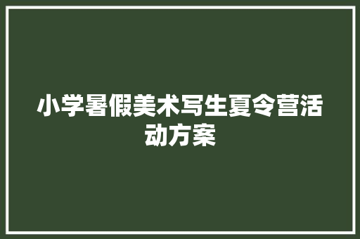 小学暑假美术写生夏令营活动方案