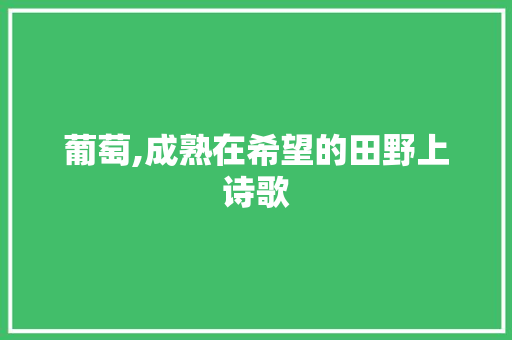 葡萄,成熟在希望的田野上诗歌