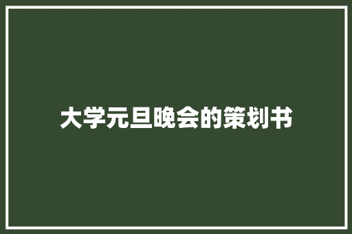 大学元旦晚会的策划书