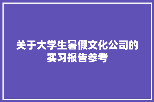 关于大学生暑假文化公司的实习报告参考