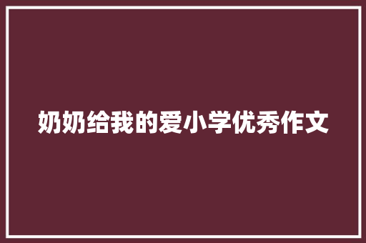 奶奶给我的爱小学优秀作文