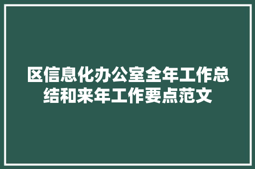 区信息化办公室全年工作总结和来年工作要点范文