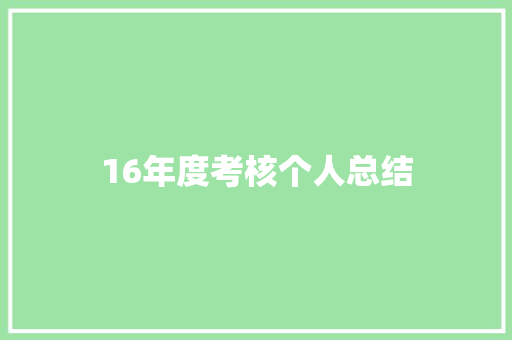 16年度考核个人总结