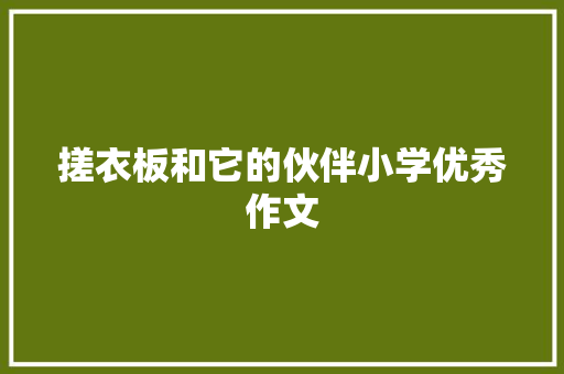 搓衣板和它的伙伴小学优秀作文