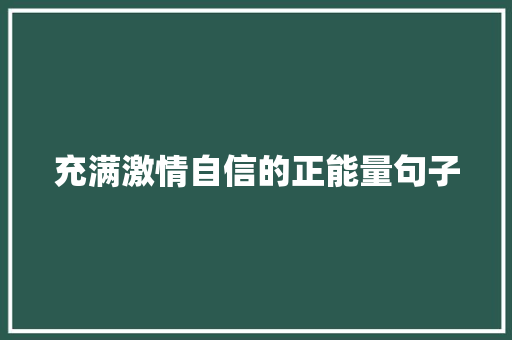 充满激情自信的正能量句子