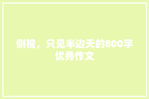 侧视，只见半边天的800字优秀作文