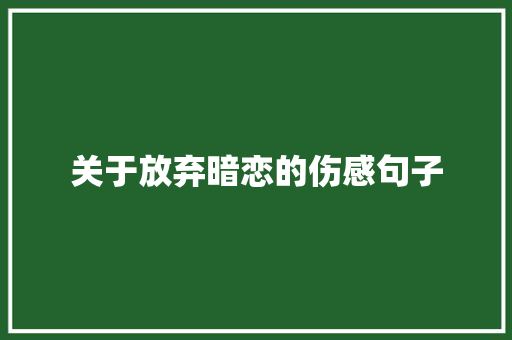 关于放弃暗恋的伤感句子