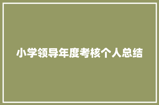 小学领导年度考核个人总结