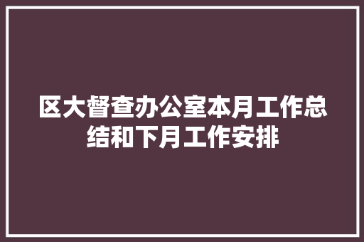 区大督查办公室本月工作总结和下月工作安排