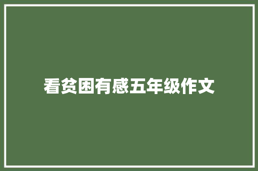 看贫困有感五年级作文