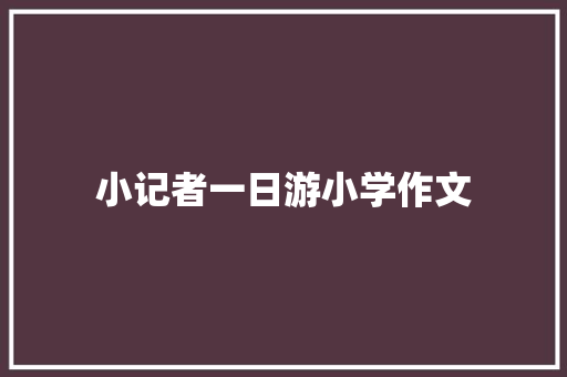 小记者一日游小学作文