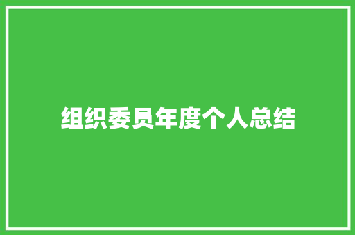 组织委员年度个人总结