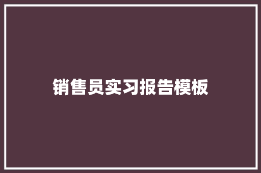 销售员实习报告模板