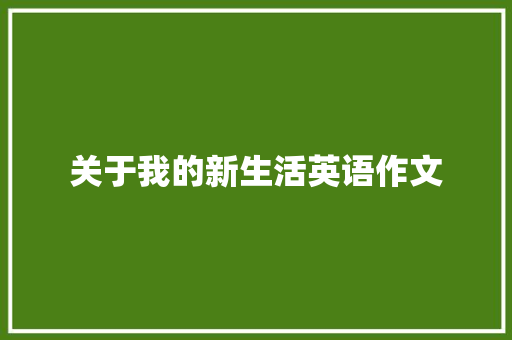 关于我的新生活英语作文