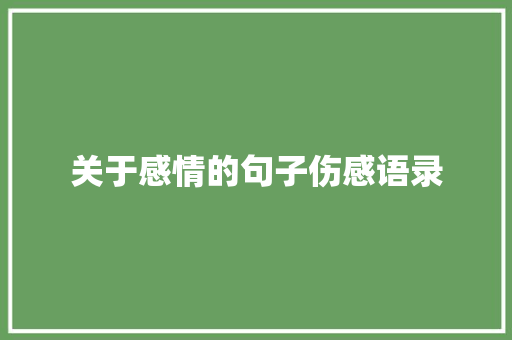 关于感情的句子伤感语录