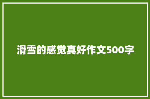 滑雪的感觉真好作文500字