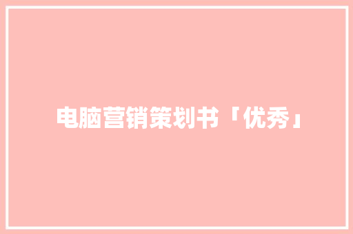 电脑营销策划书「优秀」