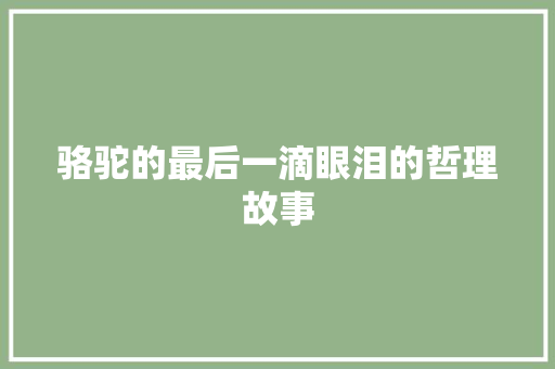 骆驼的最后一滴眼泪的哲理故事