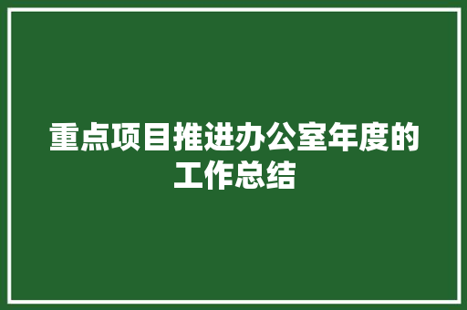 重点项目推进办公室年度的工作总结 演讲稿范文