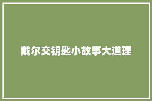 戴尔交钥匙小故事大道理