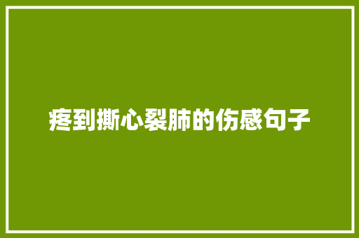 疼到撕心裂肺的伤感句子