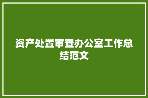 资产处置审查办公室工作总结范文