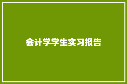 会计学学生实习报告