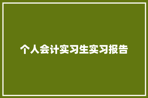 个人会计实习生实习报告