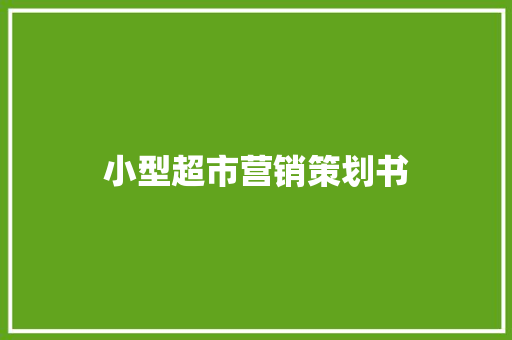 小型超市营销策划书