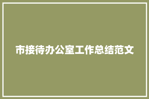 市接待办公室工作总结范文