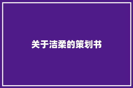 关于洁柔的策划书