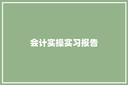 会计实操实习报告