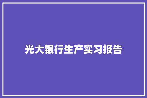 光大银行生产实习报告