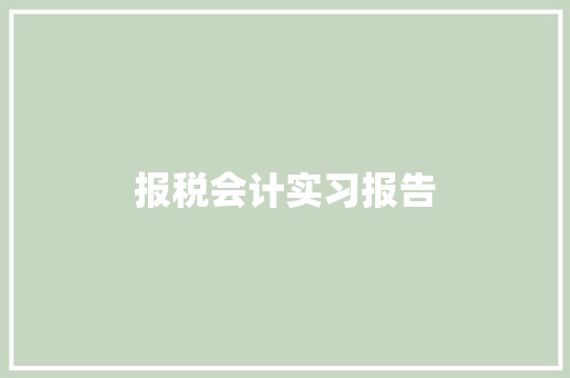 报税会计实习报告