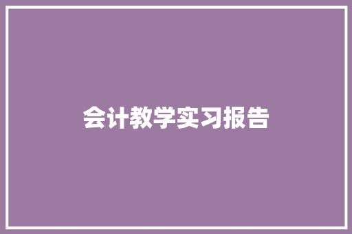 会计教学实习报告