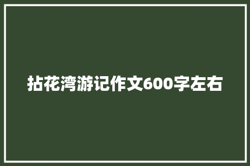 拈花湾游记作文600字左右