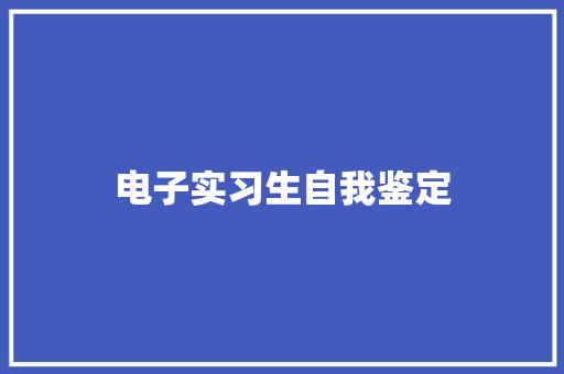 电子实习生自我鉴定