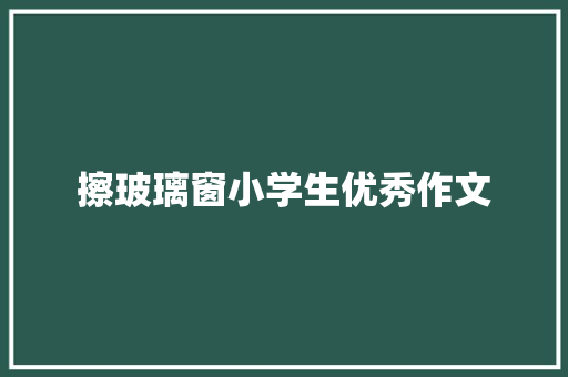 擦玻璃窗小学生优秀作文