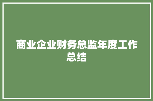 商业企业财务总监年度工作总结