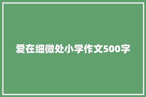 爱在细微处小学作文500字