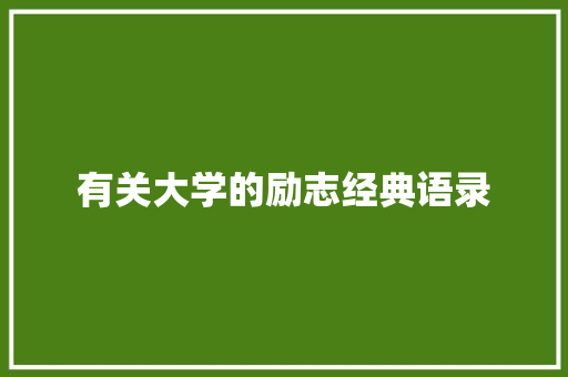 有关大学的励志经典语录