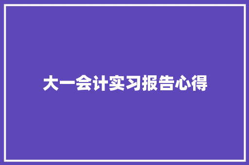 大一会计实习报告心得