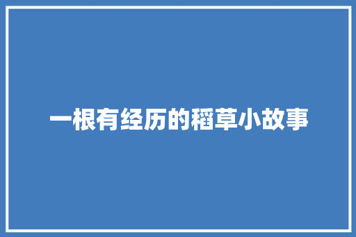 一根有经历的稻草小故事