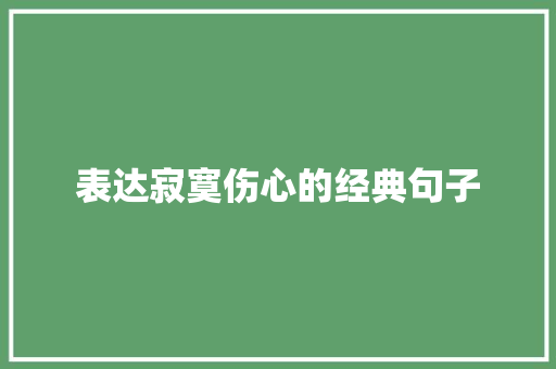 表达寂寞伤心的经典句子