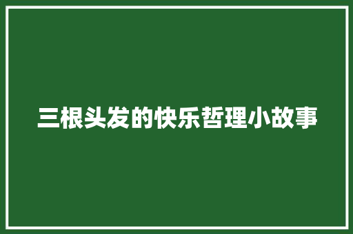 三根头发的快乐哲理小故事