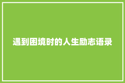 遇到困境时的人生励志语录