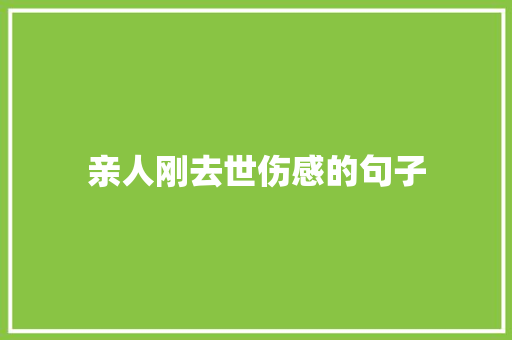 亲人刚去世伤感的句子