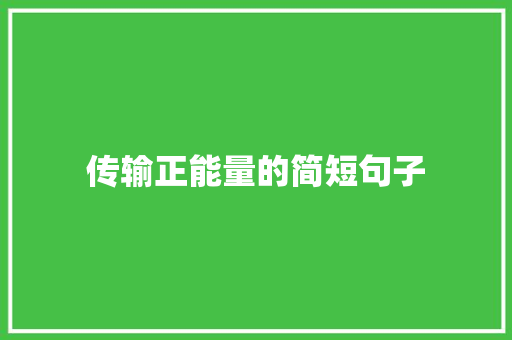 传输正能量的简短句子