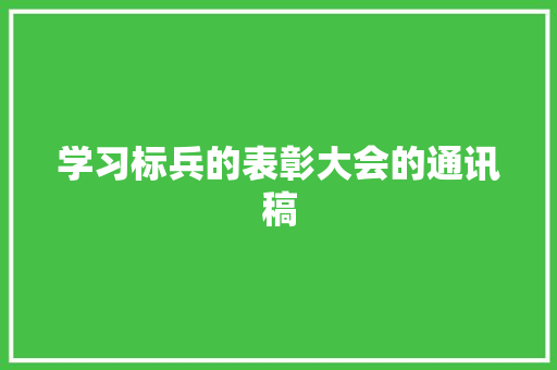 学习标兵的表彰大会的通讯稿