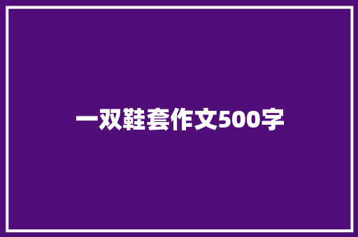 一双鞋套作文500字